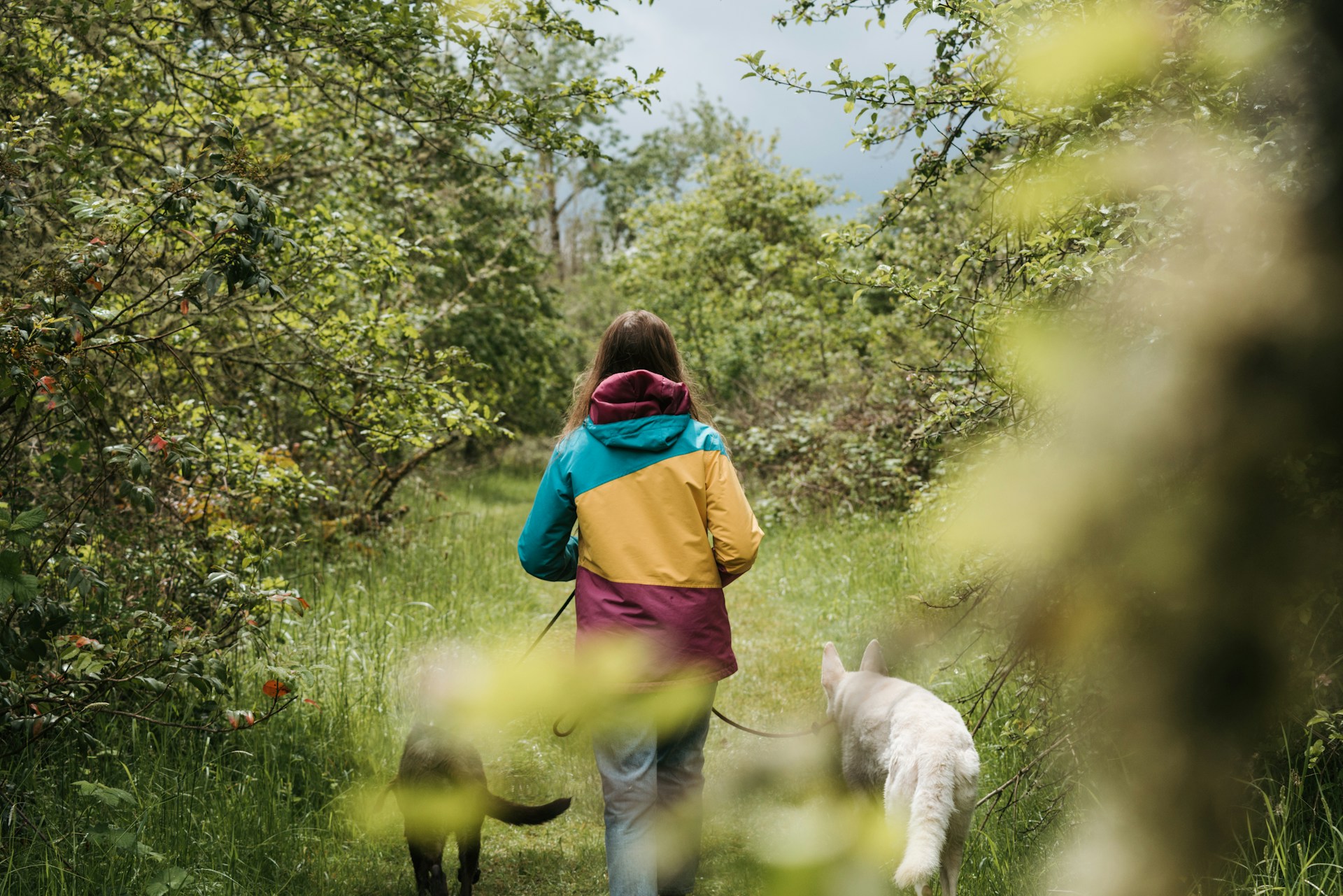 Nature Walks