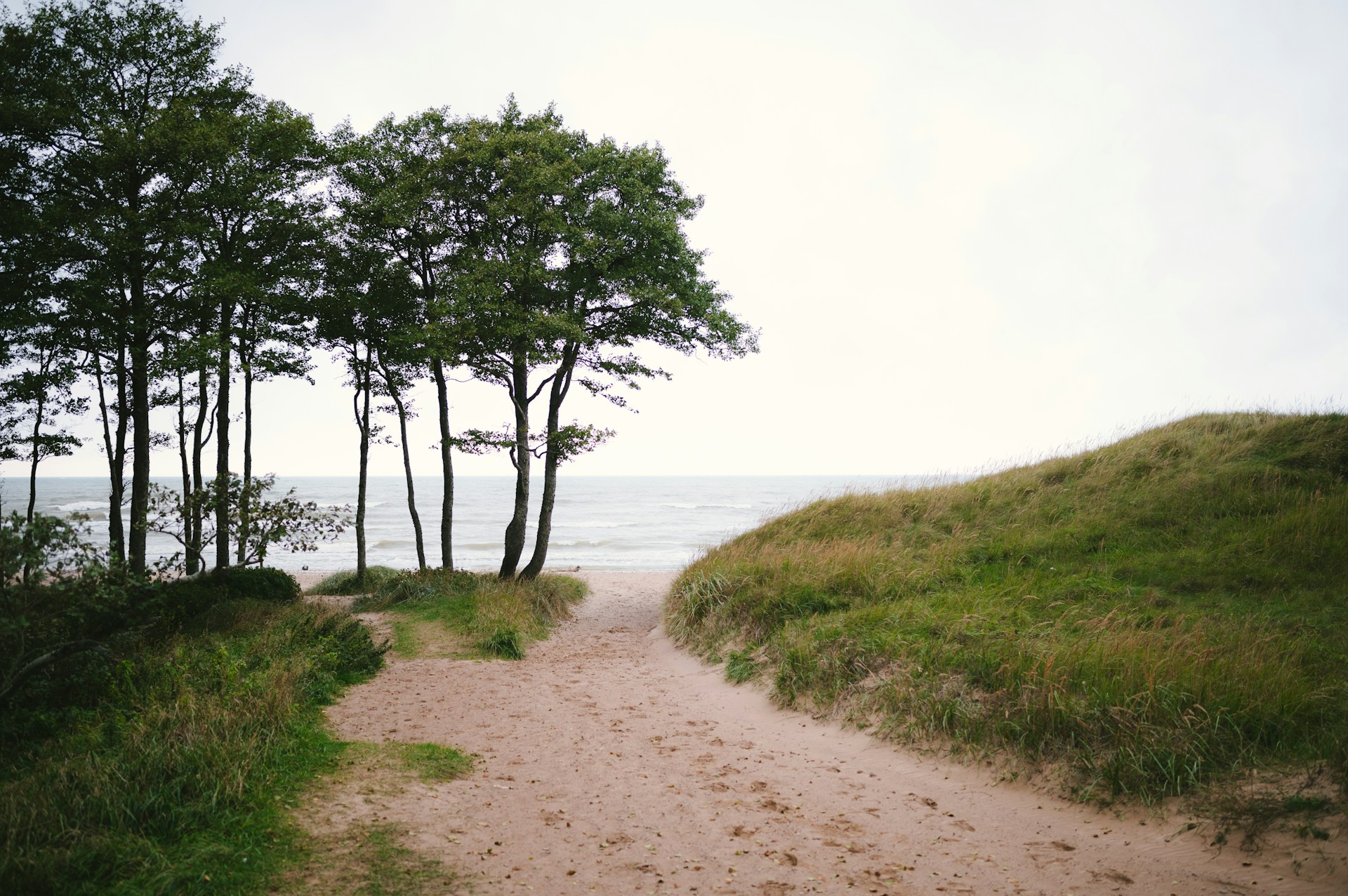 Coastal Trail