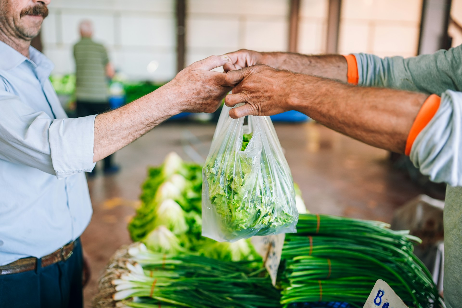 Farmer's Markets