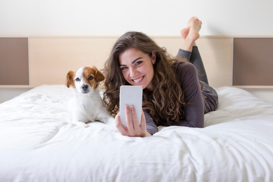 dog in hotel