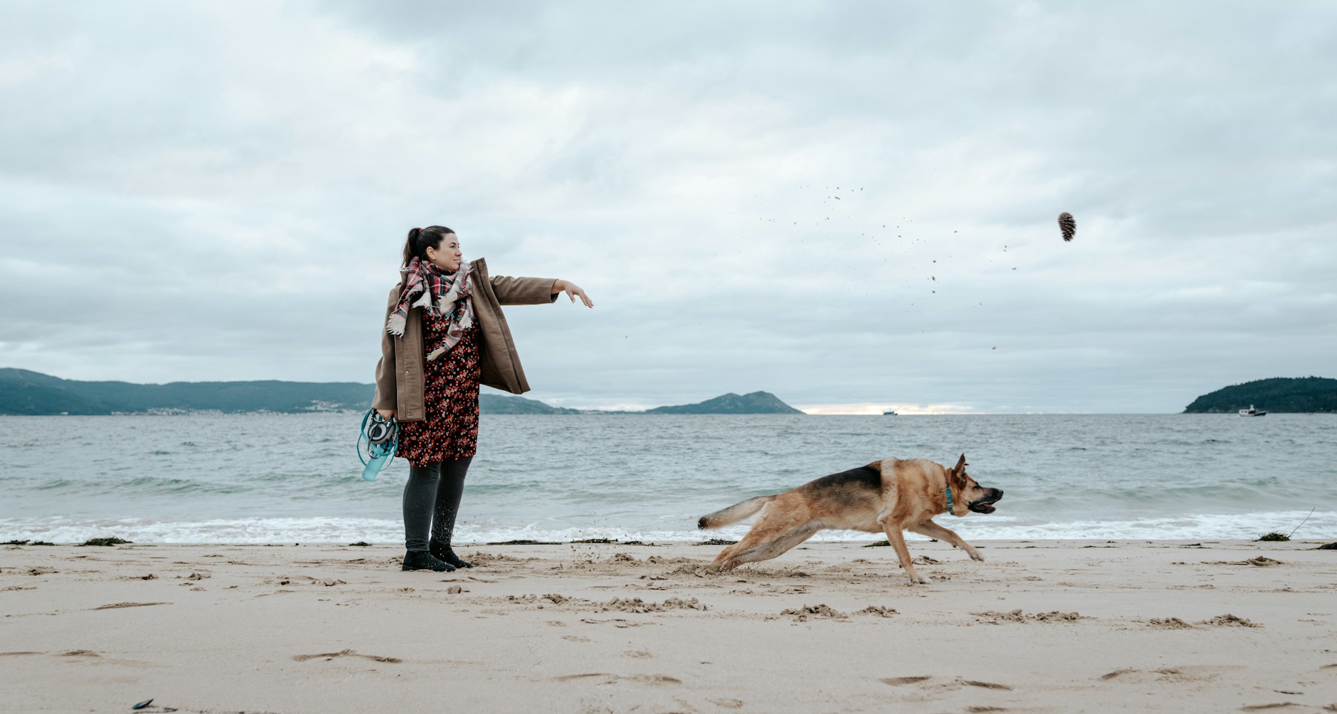 Dog-friendly winter activity