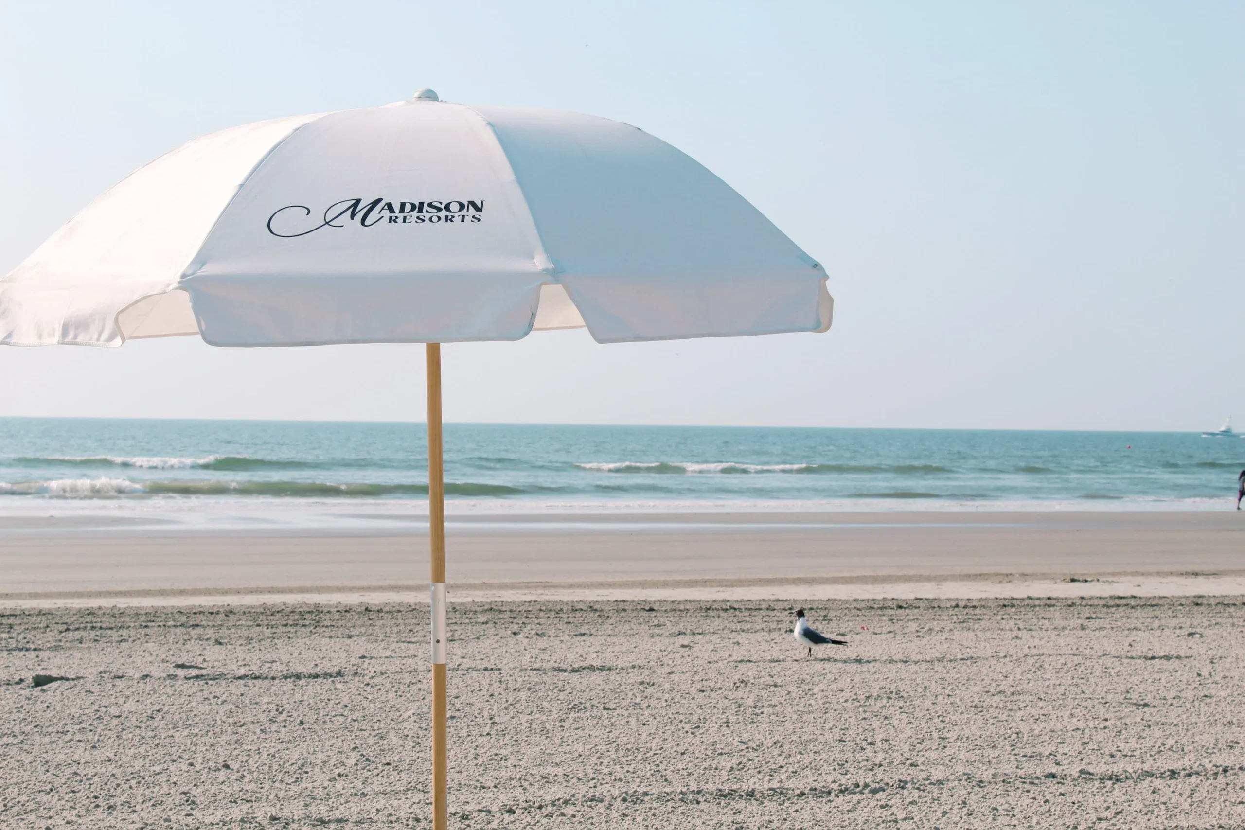 DEAL SIZZLING SUMMER SAVINGS