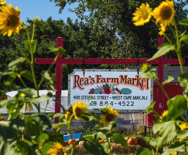 Family Fun at Rea’s Farm