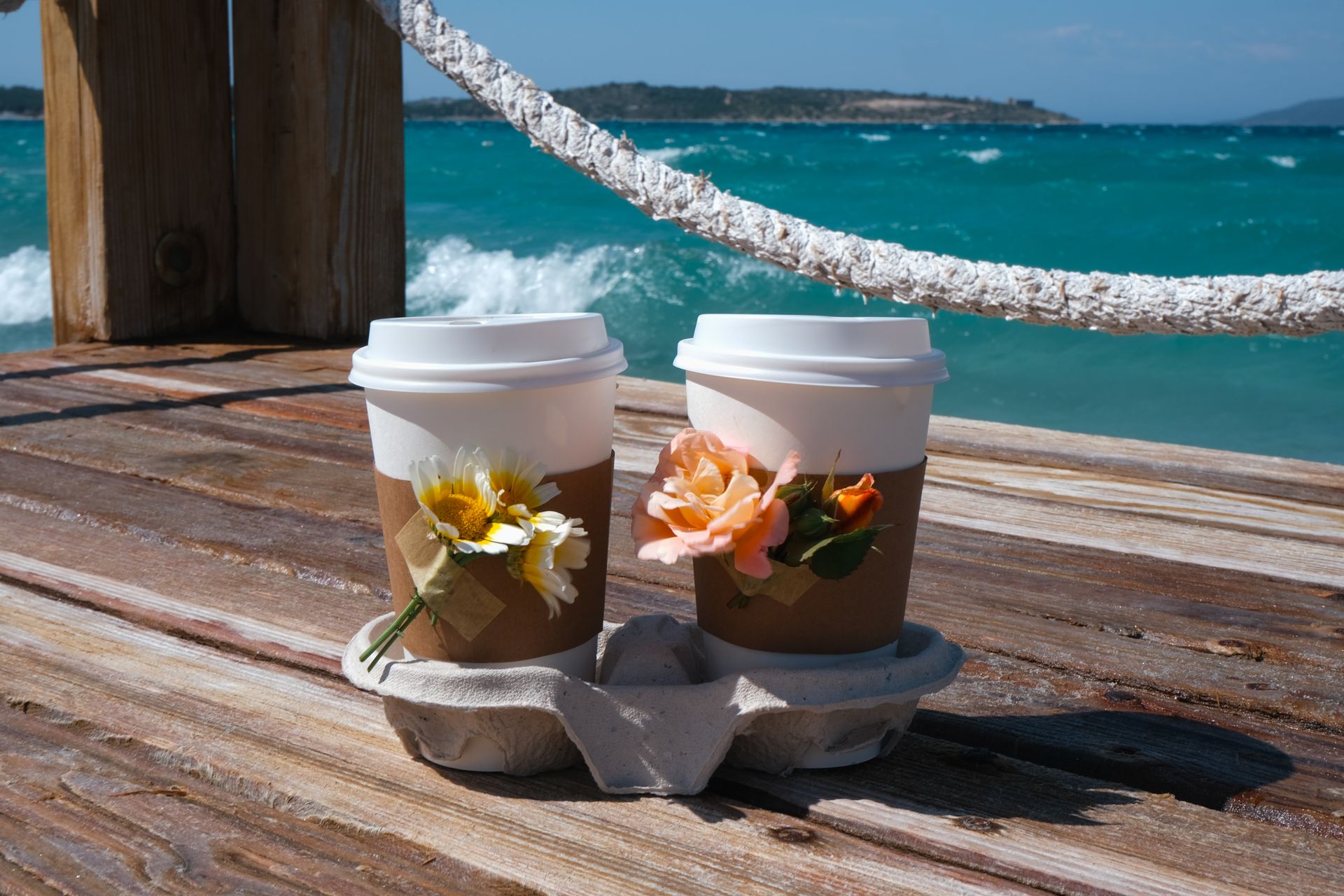 bay walk coffee